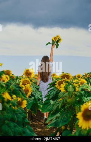 Junge Frau, die mit Sonnenblumen in der Hand den Himmel ausstreckten, auf dem Feld entlang ging Stockfoto