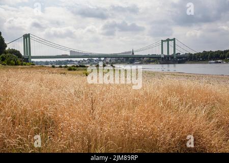 Die Rodenkirchener Brücke über den Rhein, Autobahnbrücke A4, im Hintergrund der Bezirk Rodenkirchen, Köln, Deutschland. Die Rodenkir Stockfoto