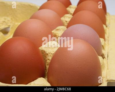 Hühnerei Stockfoto