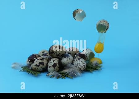 Wachteleier auf dem blauen Hintergrund mit Kopierraum Stockfoto