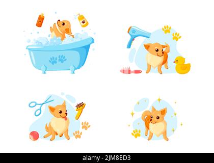 Hundepflege in einem Bad mit Haustier-Shampoo, Kämmen und Gummienten. Verspielter chihuahua Welpe im Pflegedienst. Vektor-Illustration in niedlichen Cartoon Stock Vektor