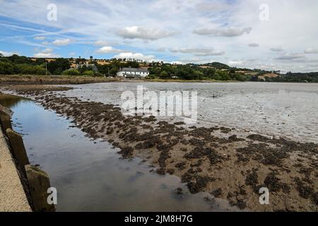 Ferienhäuser am Ufer des Flusses Tavy vom Kai bei Bere Ferrers aus gesehen. Die Flut ist niedrig mit Mustern im Flussbett. Stockfoto