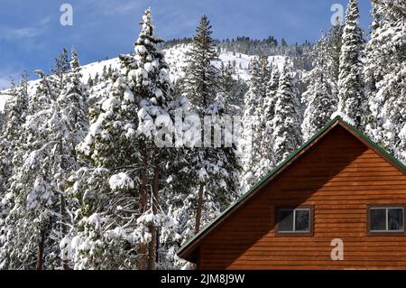 Winterhütte mit schneebedeckten Bäumen und Berg im Hintergrund Stockfoto