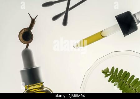Flüssiges Serum in einer Flasche mit einem Tropf. Hautpflegekonzept mit Schnecke, Serum, Petrischale, Farn, Wattestäbchen, Pipette. Auf weißem Hintergrund. Stockfoto