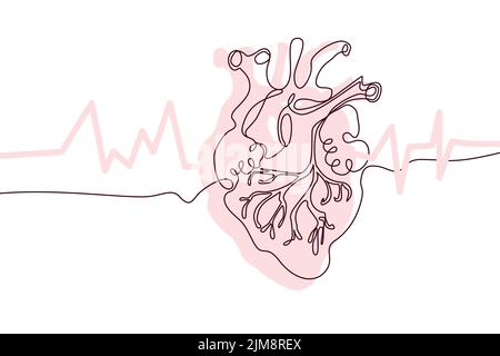 Herz handgezeichnetes Symbol kontinuierliche Linienzeichnung und rosa flache Silhouette. Menschliche Organe. Medizin trendy Konzept eine einzeilige Design. Einfache Umrisse Stock Vektor