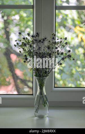 Blaue Blumen mit Stacheln stehen in einer Vase auf einer weißen Fensterbank. Vor dem Fenster scheint die helle Sommersonne auf den Ästen von grünen Bäumen Stockfoto