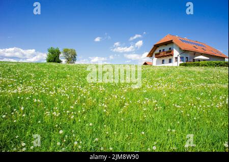 Familienhaus in einer Sommerlandschaft Stockfoto