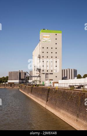 RWZ-Getreidesilo am Rheinhafen Niehl, Lagerplatz, Köln, Deutschland. RWZ Getreidesilo im Hafen Niehl, Lagerhauskai, Köln, Deutschland. Stockfoto