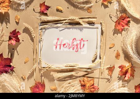 Herbstrahmen, Bildunterschrift Grußtext Herbst bedeutet Herbst in deutscher Sprache. Natürliche Herbstblätter, Weizenohren und Pampagras. Stockfoto