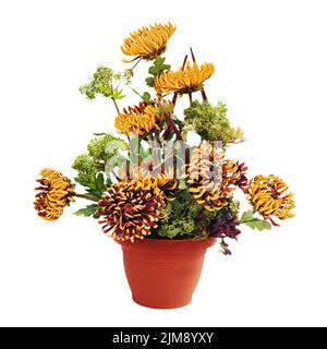 Blumenstrauß aus Chrysanthemen Arrangement Centerpiec Stockfoto