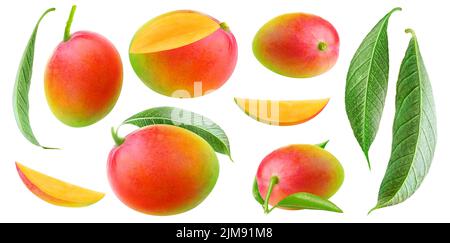 Isolierte Mango-Kollektion. Bunte rote und grüne Mangofrüchte in verschiedenen Formen, Stücke und Blätter isoliert auf weißem Hintergrund Stockfoto