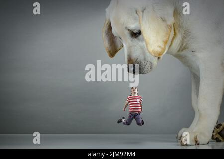 Kleiner Junge auf der Hundenase Stockfoto