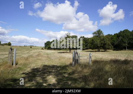 Ein Blick in der Nähe der traditionellen Quelle der Themse, bekannt als Thames Head, einer Gruppe von saisonalen Quellen in der Nähe des Dorfes Coates in den Cotswolds, Gloucestershire. Ausgetrocknete Teile Englands stehen unter sehr trockenen Bedingungen und vor einer weiteren vorhergesagten Hitzewelle vor einem Schlauchleitungsverbot. Bilddatum: Freitag, 5. August 2022. Stockfoto