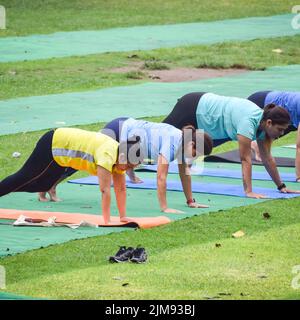 New Delhi, Indien, Juni 18 2022 - Gruppen-Yoga-Kurs Surya Namaskar für Menschen unterschiedlichen Alters in Lodhi Garden, Internationaler Yoga-Tag, Big gro Stockfoto