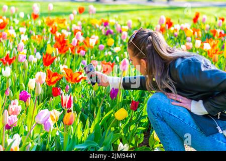 Lisse, Niederlande - 14,4.2022: Touristen besuchen den Keukenhof-Garten. Mehrere schöne Blumen in der Blüte, Menschen, die Fotos. Lebendige Farben Stockfoto