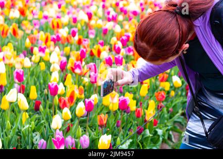 Lisse, Niederlande - 14,4.2022: Touristen besuchen den Keukenhof-Garten. Mehrere schöne Blumen in der Blüte, Menschen, die Fotos. Lebendige Farben Stockfoto