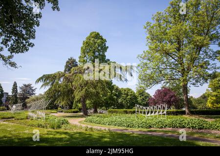 Der Rheinpark im Stadtteil Deutz, Naherholungsgebiet, Köln, Deutschland. Im Rheinpark im Stadtteil Deutz, Naherholungsgebiet, Köln, Deutschland Stockfoto