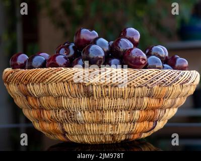 Nahaufnahme von frischen reifen Kirschen, in einem bunten Korbkorb mit frischen reifen Kirschen, in einem bunten Korbkorb Stockfoto