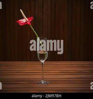 Rotes Anthurium (Flamingo-Blume; Boy-Blume) in Glasvase auf Holzhintergrund. Stockfoto