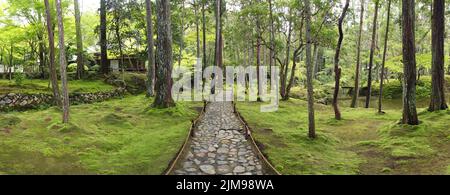 Gerader Weg in der Panoramaaussicht auf den berühmten Moosgarten in Kyoto (Saiho-ji-Tempel) Stockfoto