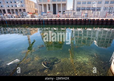 Leihfahrrad ins Wasser geworfen in Kopenhagen, Dänemark Stockfoto