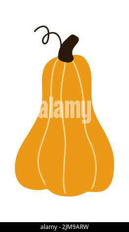 Herbsternte. Kuschelige Illustration für Kürbis. Vektor-Danksagbild Flachdruck Stock Vektor