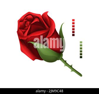 Rose Handzeichnung und Netz farbig. Eine blühende Rosenknospe. Vektorgrafik. Stock Vektor