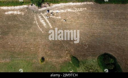 Luftdrohnenbild zeigt ein ausgetrocknetes Feld in der Gegend von Lierde, Freitag, 05. August 2022. Niedrige Niederschläge seit März und das extrem trockene Wetter im Juli führen in Flandern zu einem kritisch niedrigen Grundwasserspiegel. BELGA FOTO NICOLAS MAETERLINCK Stockfoto