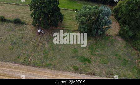 Luftdrohnenbild zeigt ein ausgetrocknetes Feld in der Gegend von Lierde, Freitag, 05. August 2022. Niedrige Niederschläge seit März und das extrem trockene Wetter im Juli führen in Flandern zu einem kritisch niedrigen Grundwasserspiegel. BELGA FOTO NICOLAS MAETERLINCK Stockfoto