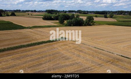 Luftdrohnenbild zeigt ein ausgetrocknetes Feld in der Gegend von Lierde, Freitag, 05. August 2022. Niedrige Niederschläge seit März und das extrem trockene Wetter im Juli führen in Flandern zu einem kritisch niedrigen Grundwasserspiegel. BELGA FOTO NICOLAS MAETERLINCK Stockfoto