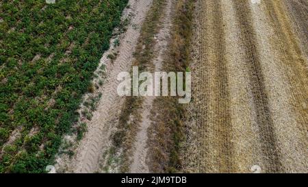 Luftdrohnenbild zeigt ein ausgetrocknetes Feld in der Gegend von Lierde, Freitag, 05. August 2022. Niedrige Niederschläge seit März und das extrem trockene Wetter im Juli führen in Flandern zu einem kritisch niedrigen Grundwasserspiegel. BELGA FOTO NICOLAS MAETERLINCK Stockfoto