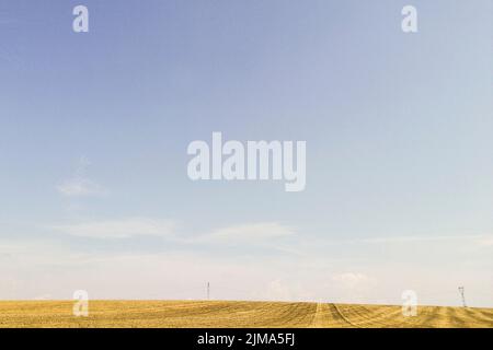 Ungarn, Kalmanhaza, frisch geschnittenes Weizenfeld Stockfoto