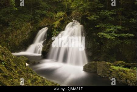 Die schönen Zwillingsfälle von Colwith Force auf dem Fluss Brathay im Lake District. Stockfoto