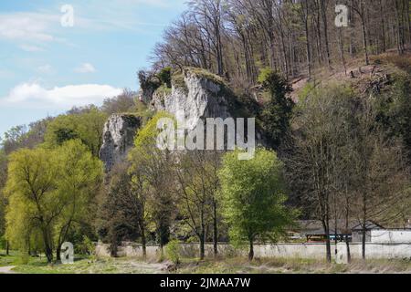 Donaudurchbruch von Kelheim zum Kloster Weltenburg mit Felsen und der Strömung der Donau Stockfoto