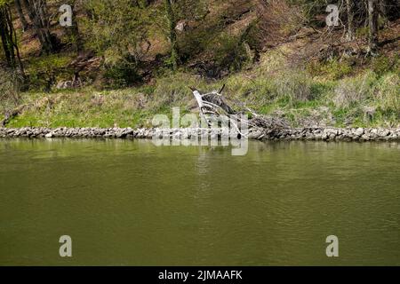 Donaudurchbruch von Kelheim zum Kloster Weltenburg mit Felsen und der Strömung der Donau Stockfoto