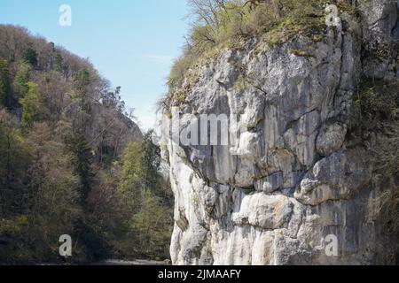 Donaudurchbruch von Kelheim zum Kloster Weltenburg mit Felsen und der Strömung der Donau Stockfoto