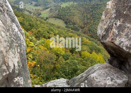 Blick von den Seneca Rocks in West Virginia Stockfoto