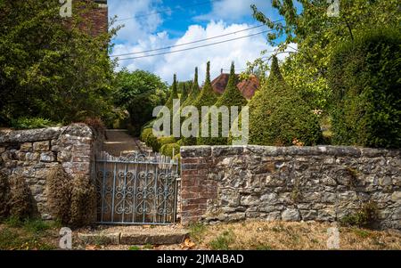 Topiary wird verwendet, um Eibenbäume in symmetrische dynamische Formen in einem englischen Garten zu schneiden. Stockfoto