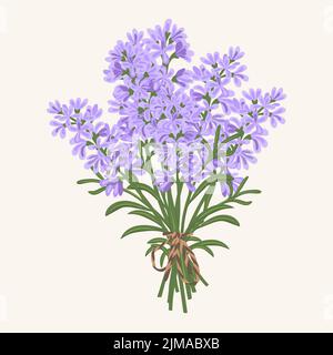 Handgezeichnete Vektor-Illustration von violetten Lavendelblüten Bouquet Stock Vektor