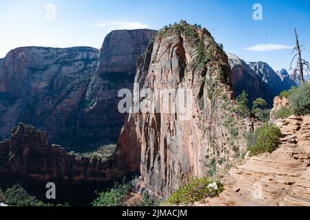 Sonniger Blick auf den Angels Landing Berg im Zion National Park mit seinem schmalen Anstieg.