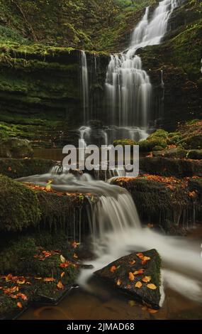Eine Herbstansicht der Scaleber Force in den Yorkshire Dales. Stockfoto