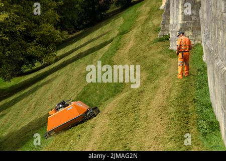 Grashang, der von einem ferngesteuerten orangefarbenen Mähroboter (KommTek RoboFlail) und Arbeiter in der historischen Stadtmauer von York, Yorkshire, England, Großbritannien, gemäht wird. Stockfoto