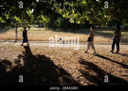 South Londoners laufen mit einem Hund über eine ausgetrocknete Parklandschaft im Ruskin Park, einem öffentlichen Raum im Süden Londons, während die Hitzewelle und Dürre Großbritanniens bis in den August andauert, wobei am 5.. August 2022 in London und Südost-England in London, England, wenig Regen gefallen ist. Stockfoto