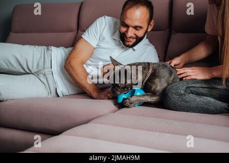 Fröhlicher Mann und Frau, die Spaß mit ihrem Haustier haben, kleine französische Bulldogge, die mit Spielzeug auf dem rosa Sofa spielt Stockfoto