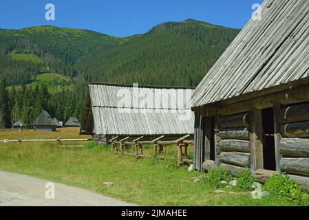 Alte Schäferhütten auf der Chocholowska Glade, Westtatra, Polen Stockfoto