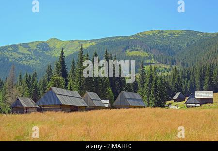 Milchhütte auf der Chocholowska Clearing, Westtatra, Polen Stockfoto