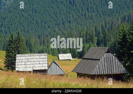 Alte Schäferhütten auf der Chocholowska Glade, Westtatra, Polen Stockfoto