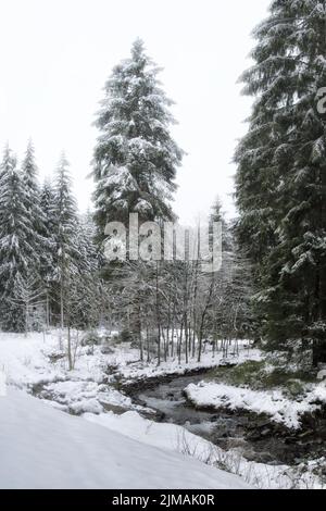 Harz - Winterwald am Bach Grumbach, Deutschland Stockfoto