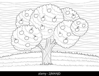 Apfelbaum Färbung Garten Grafik schwarz weiß Landschaft Skizze Illustration Vektor Stock Vektor