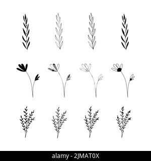 Blumenelemente und Blumen, Zweige und Blätter Set. Vektor Silhouetten von Blumen Stock Vektor